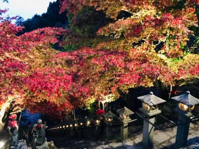大山寺での紅葉＆ライトアップ