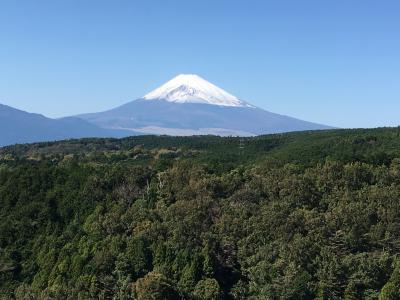 浜松・三島観光☆一人旅