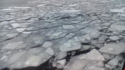 ガリンコ号・オーロラ号流氷船・ジュエリーアイス・丹頂