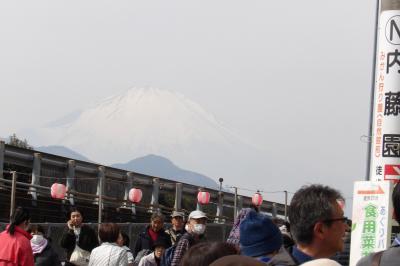 まつだ桜まつり会場入り口までの上り道