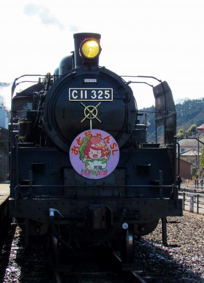 2019年２月茂木駅へ真岡鐵道のSLと転車台を見て蝋梅も見ました。