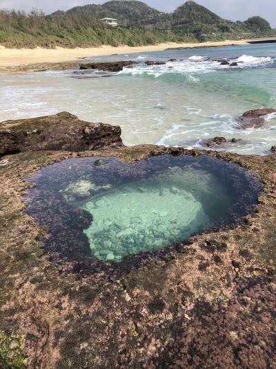 バニラエアで行く☆冬の奄美大島①