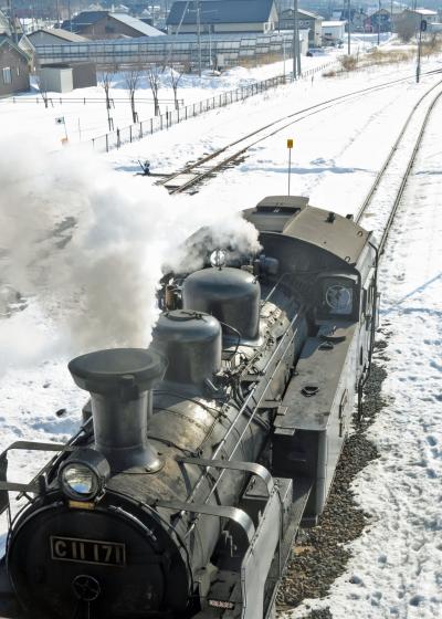 201９年２月野鳥撮影記録 　Ⅶ　ＳＬ乗車とタンチョウ