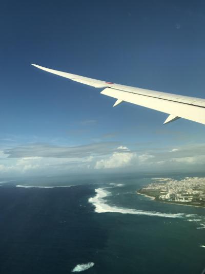 毎年恒例　八重山ヴァカンス　石垣編①