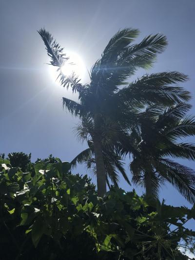 毎年恒例　八重山ヴァカンス　石垣編②