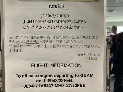 初ビジネス、台風の中JALだけグアムへ到着、4歳と2歳直前連れのプール旅行