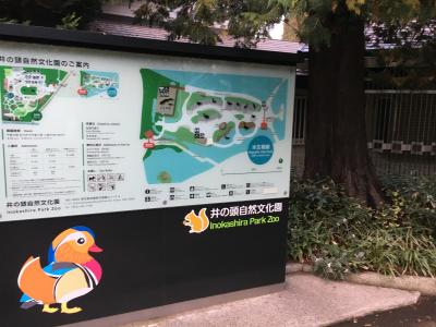 吉祥寺 商店街&#12316;井之頭公園 ぶらり散歩