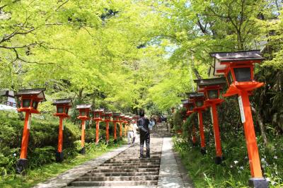 GW関西・北陸一周前編～新緑の彦根城・鞍馬山～