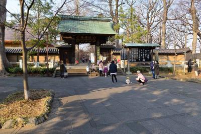 ちょっと寒い2月の九品仏浄真寺散歩