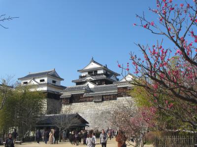 愛媛＆高知の百名城巡りの旅2日目（松山城＆湯築城）