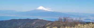 伊豆ジオパーク　- 2　玄岳（多賀火山群）～　達磨山・金冠山へ