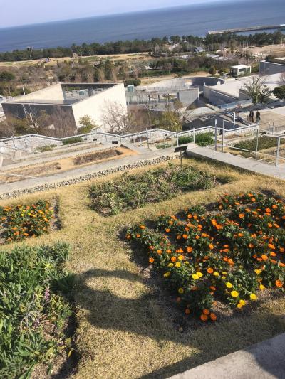 淡路島　３年とらふぐを食し、安藤忠雄の建築作品を巡る旅