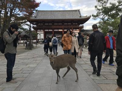 東大寺まとめ