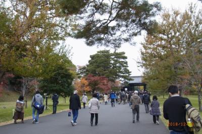 お初!乾通りの紅葉2018