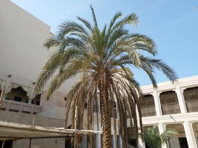 エミレーツで行くアジアカップ2019【その5】続ドバイの下町めぐり、のちモールに入り浸り