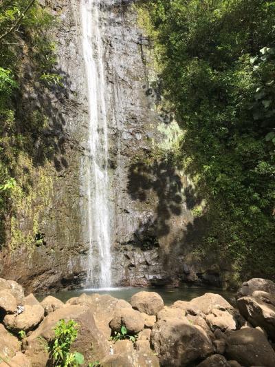 てくてくハワイ その6 マノアの滝