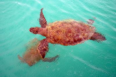 近くて遠い？「戸なき」島で沖縄の原風景を体験 &#12316;2日目後編