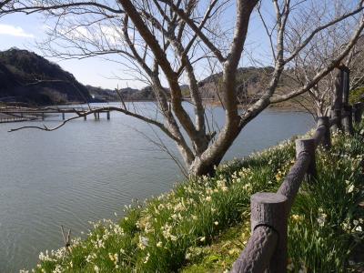 冬の日帰り散歩。あっち・・こっち・・♪♪
