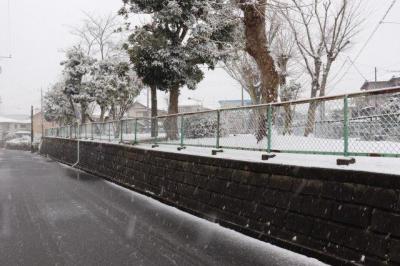 2019/02/03-09 バリ島(7日目(2/9)バリ→成田)