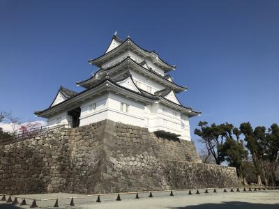 【神奈川】日本100名城、小田原城を探る！