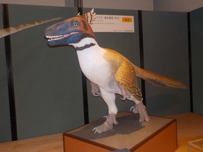 バスツアー 工場見学。茨城自然博物館