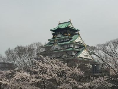 大阪たび：春　2018年春花見は大阪城へ！