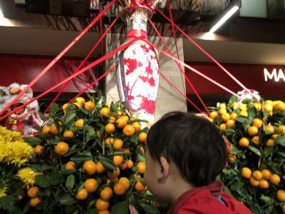 初海外の2歳児とシニア連れ2泊3日香港☆3日目☆