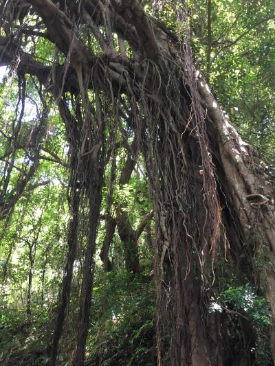 沖縄旅行☆備忘録　その2