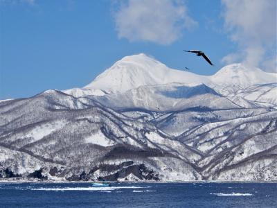 冬の道東・流氷・温泉・ロコスキー場めぐりの旅　羅臼町民スキー場跡地～流氷バードウォッチング～知床食堂～標津金山スキー場～秘湯越川温泉～斜里ウナベツスキー場～知床博物館～斜里温泉湯元館～緑清荘～ロッジ風景画編