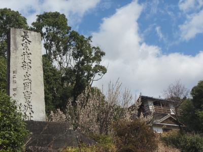 愛媛＆高知の百名城の旅5日目（岡豊城）