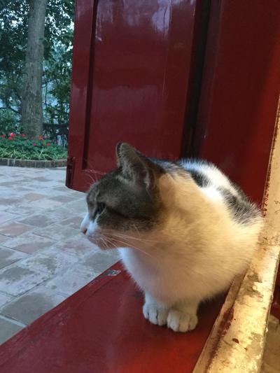 初めてのハノイ①