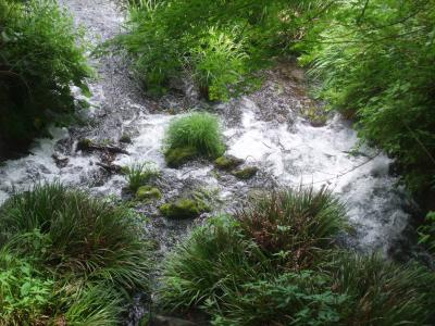 熊本・阿蘇の恵み　「自然豊かな温泉と名水を訪ねる旅」