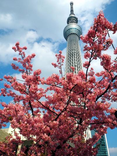 東京観光day&#128508;