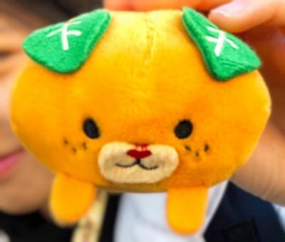 小学生の子供と愛媛ふたり旅～千と千尋の神隠しを見ながらドライブ①日目～