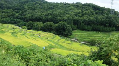 晩夏の上信越旅行　美味しいもの食べ尽くしと温泉三昧④　軽井沢⇒蓼科温泉編