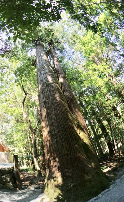 う～ん、確かに。何か目に見えないものが、得体の知れぬ何かが宿っていそーな、ええじゃないか神社：【伊勢神宮・内宮】を参拝 #2（伊勢神宮／伊勢／三重県）