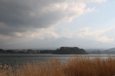 伊豆半島の花めぐりの旅５（富士山編）