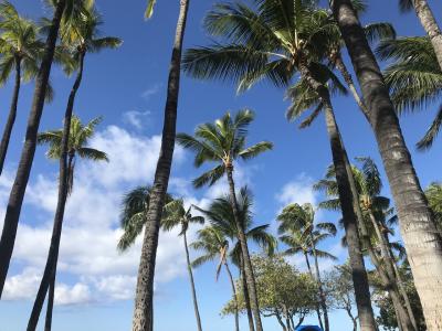 ハワイ５日間の旅