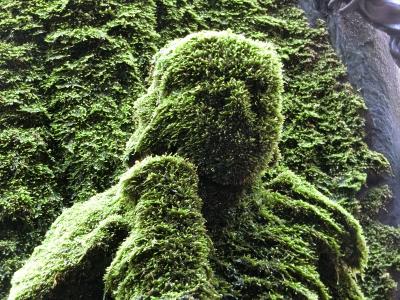 大阪（’19.2月）