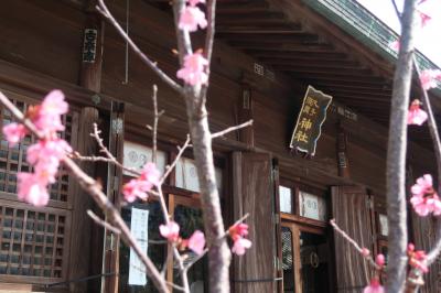 春を感じながらお散歩1/2、軽いパワスポ丸子神社浅間神社、乗運寺に。泊;ニューウェルサンピア沼津