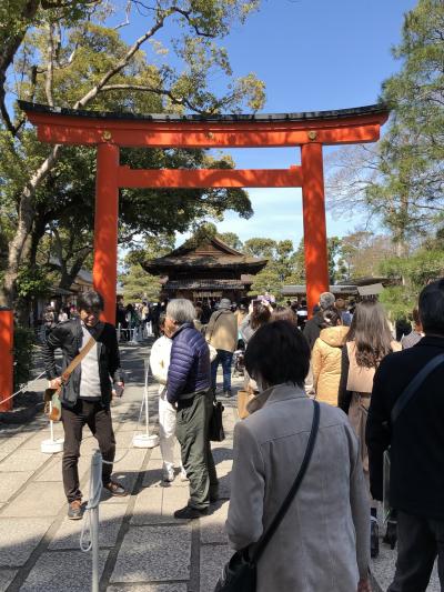 枝垂れ梅と苔の上の椿ー城南宮の春