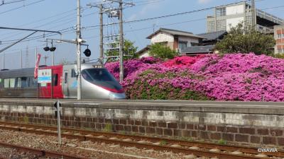 豊浜駅 ツツジ祭り　観音寺市