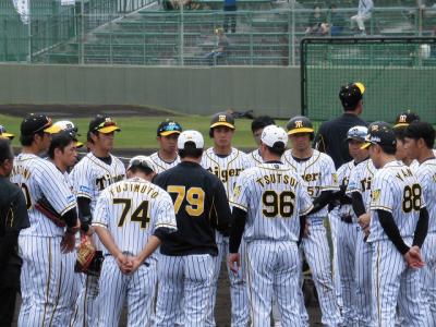 2019年2月　プロ野球沖縄キャンプ　今回は３球団見学出来ました！　2日目