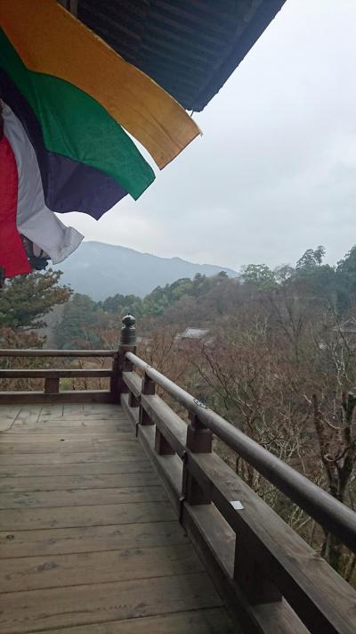 【奈良】 橿原神宮・長谷寺