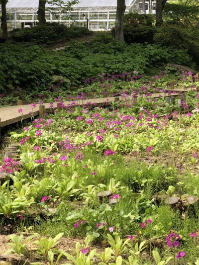 六甲高山植物園