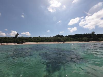 毎年恒例　八重山ヴァカンス　石垣編④
