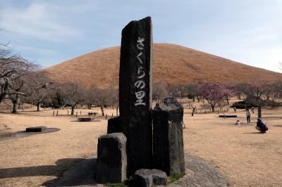 ０５．春を探しに行くエクシブ伊豆1泊　大室山 さくらの里　