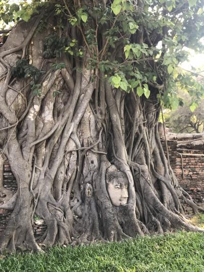 2度目のタイ旅行だ象～  その2