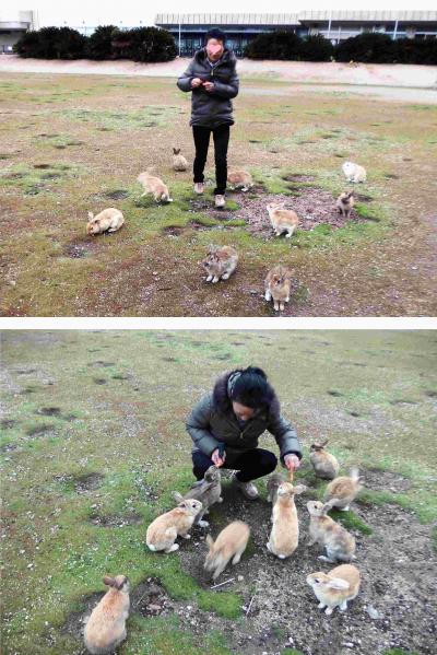 2019年3月　大久野島でうさぎと戯れ、尾道で石段Walking（広島県南東部の旅）