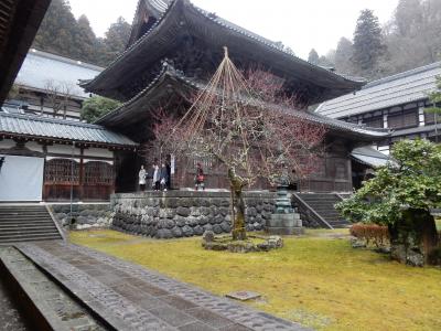 おとなびパス　あわら温泉・東尋坊・永平寺